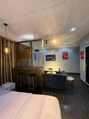 Big Studio Unit in Lekki phase 1 - Kitchen, Washer, 24-7 light, WiFi & Netflix